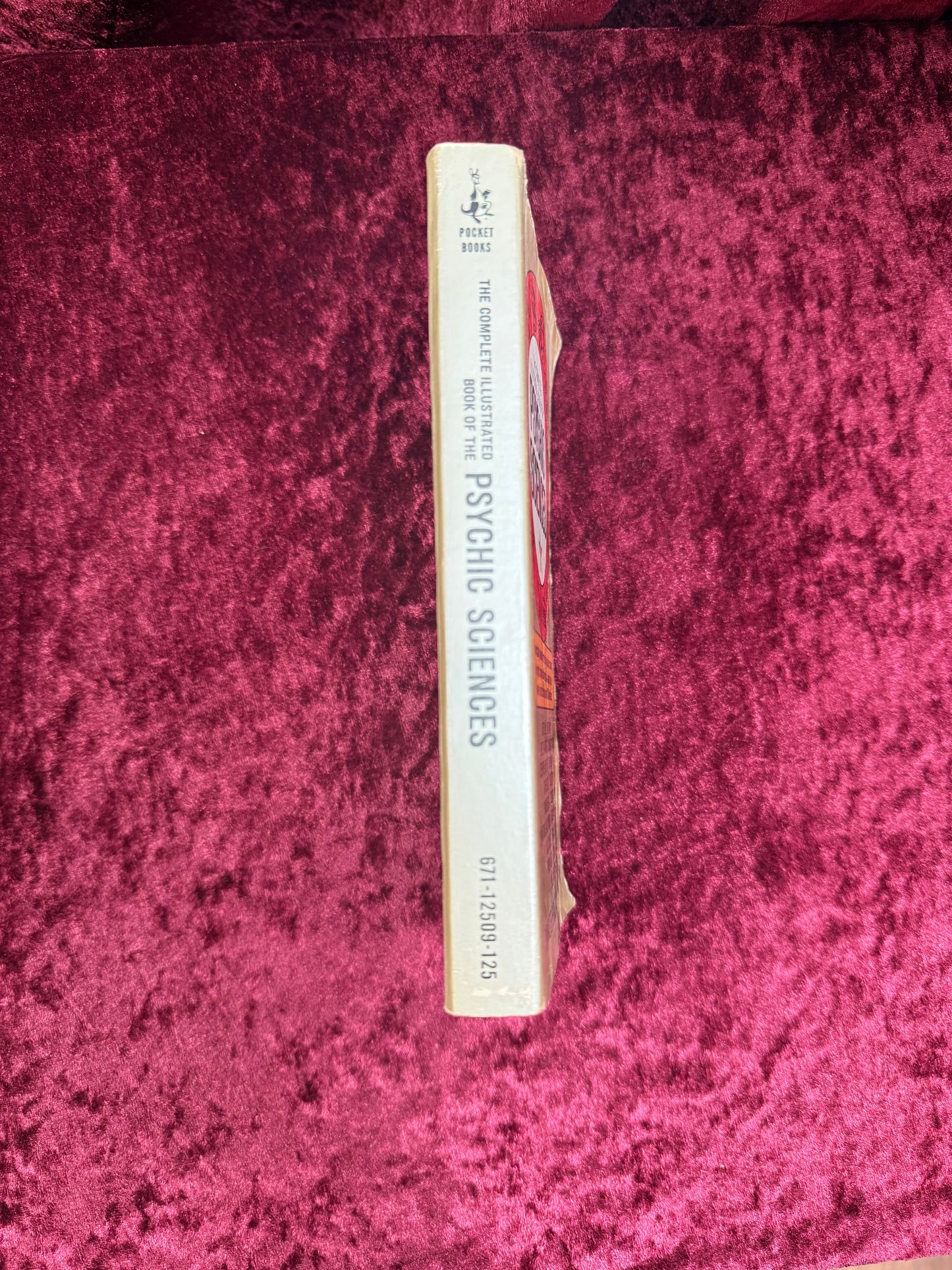 Vintage Paperback Book - The Complete Illustrated Book of the Psychic Sciences - 1968