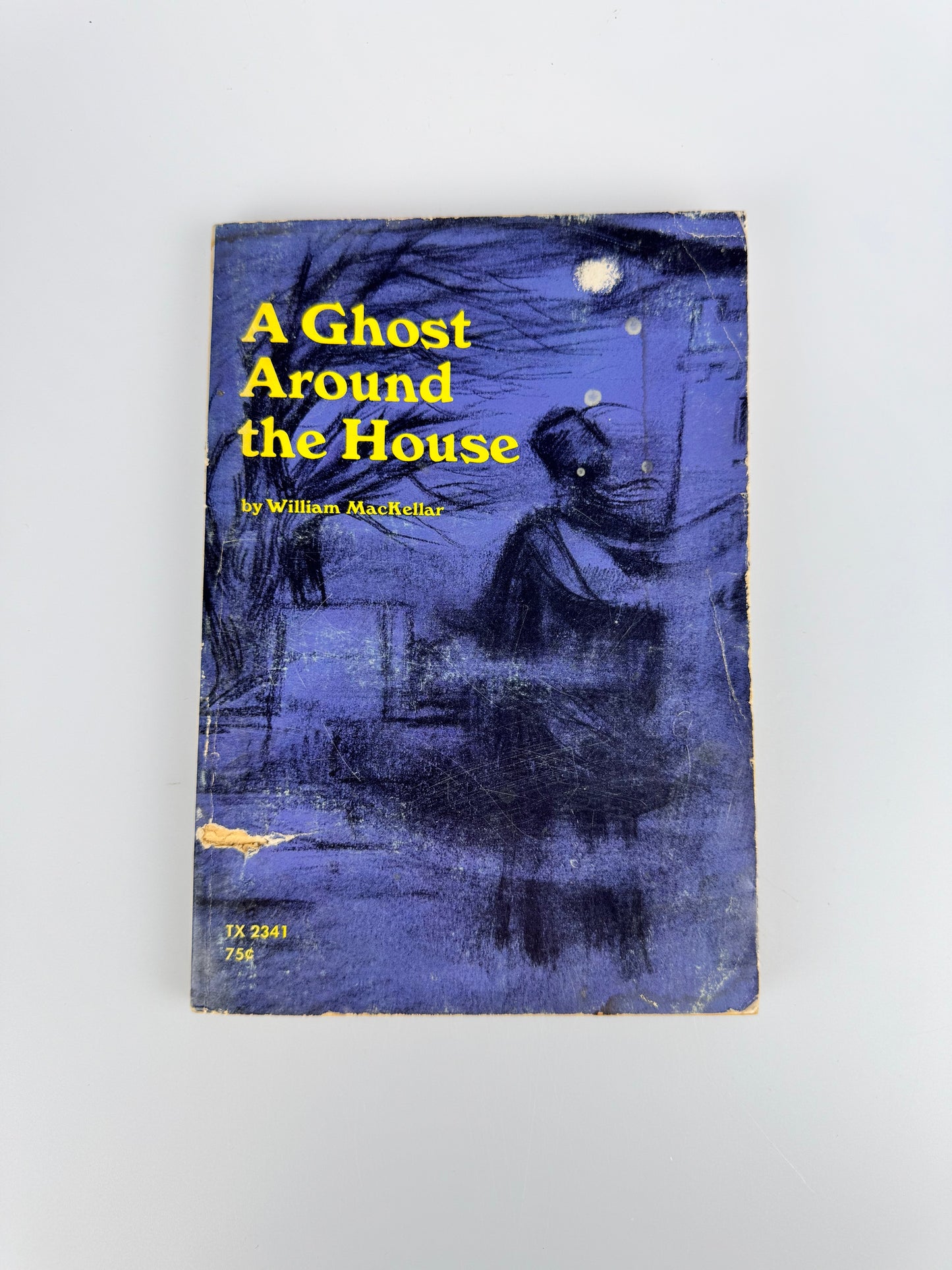 A Ghost Around the House Book by William MacKellar