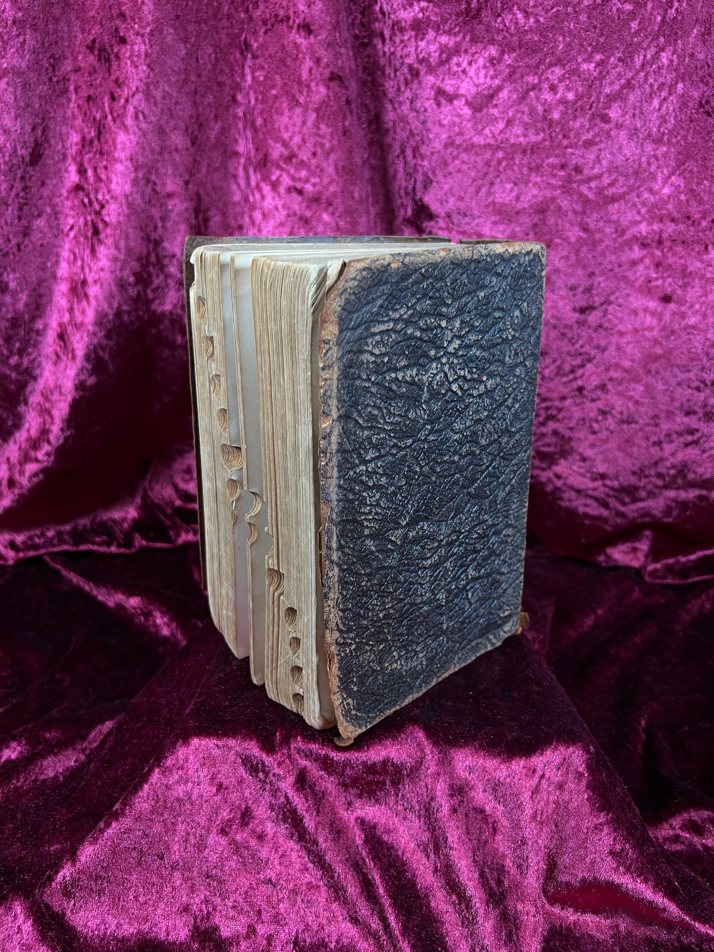 Vintage Leather Bound Dictionary Book - 1930 Popular Dictionary Reference