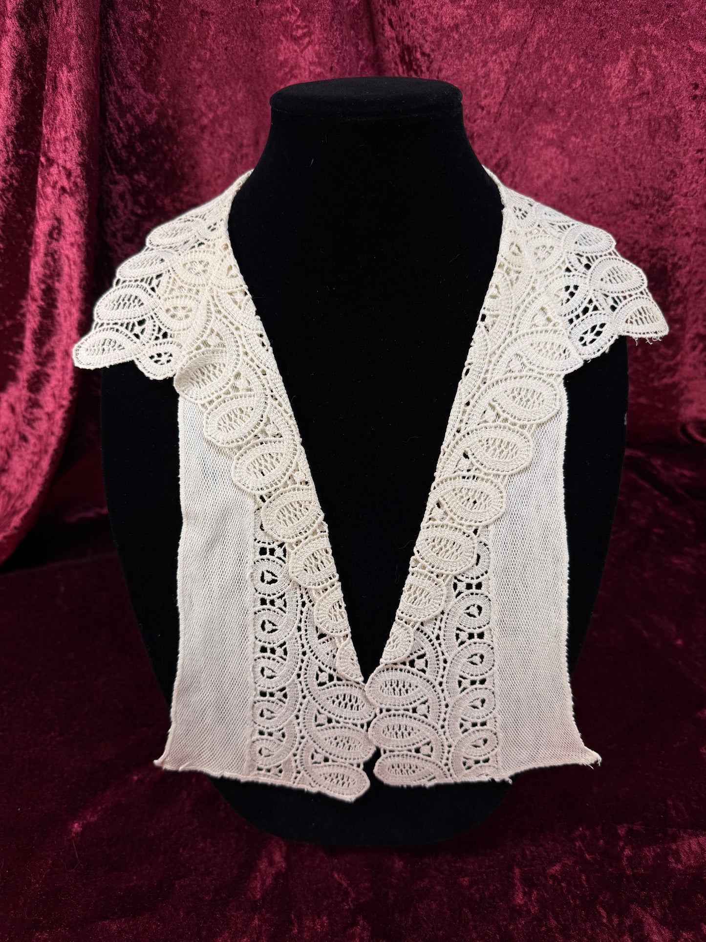 Vintage Lace Collar Overlay – Victorian Style Open Front Embroidered Panel
