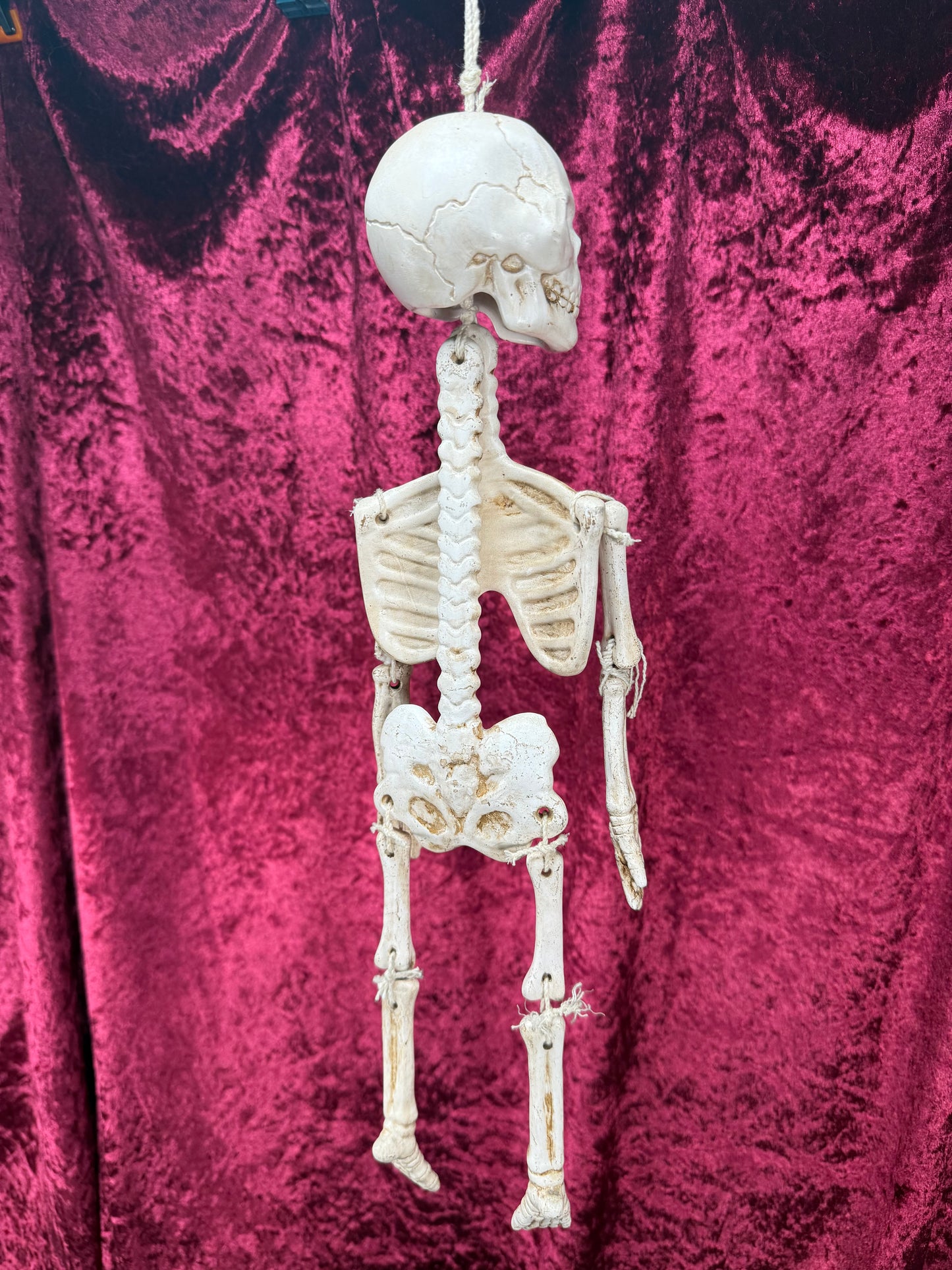 Vintage Halloween - Jointed Hanging Skeleton - Ceramic