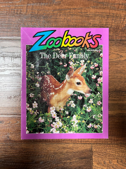 Vintage Ephemera - Magazine - Zoobooks - The Deer Family - April 2002