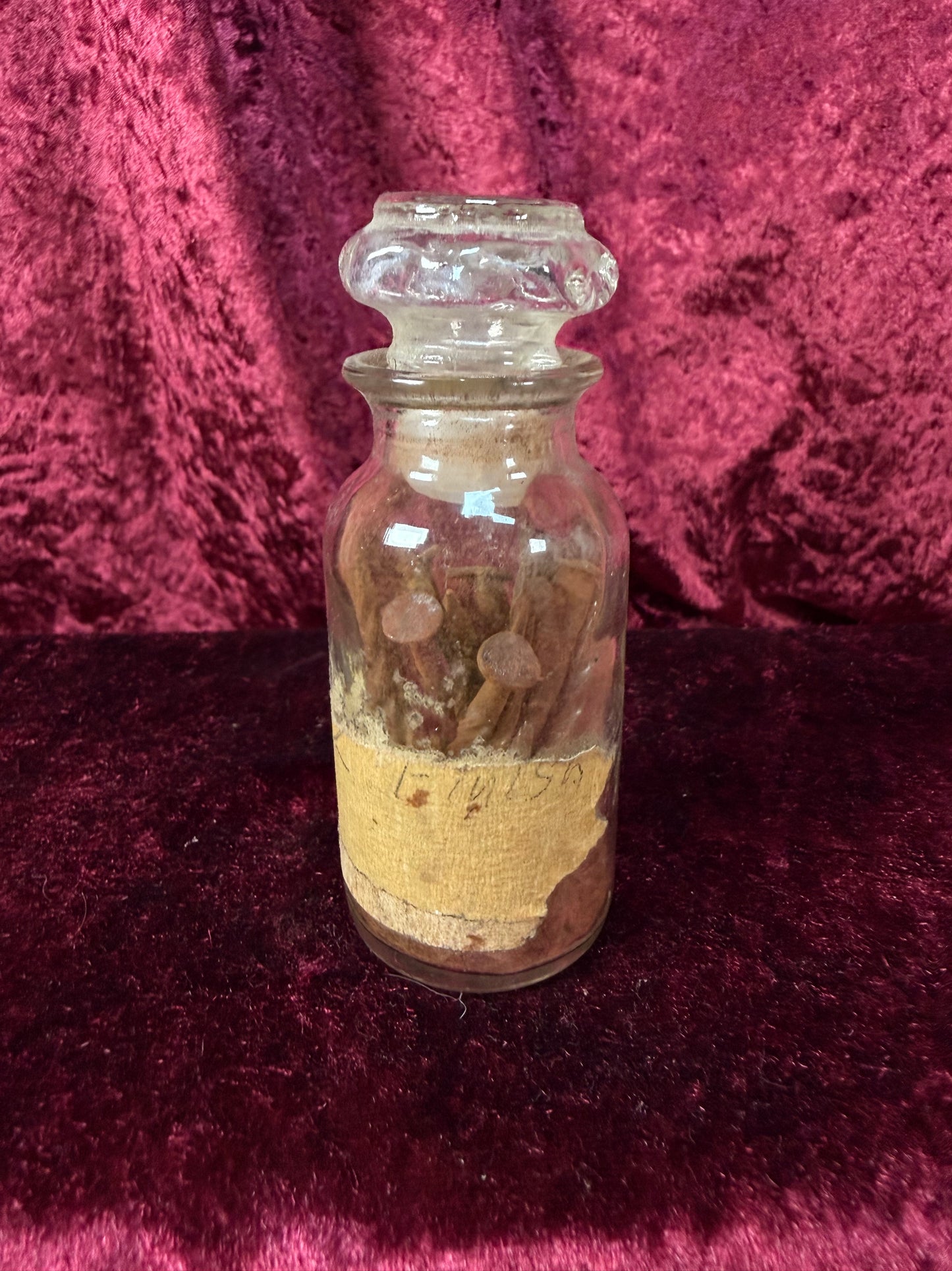 Vintage Glass Apothecary Bottle – Stoppered Rusty Nail Curiosity
