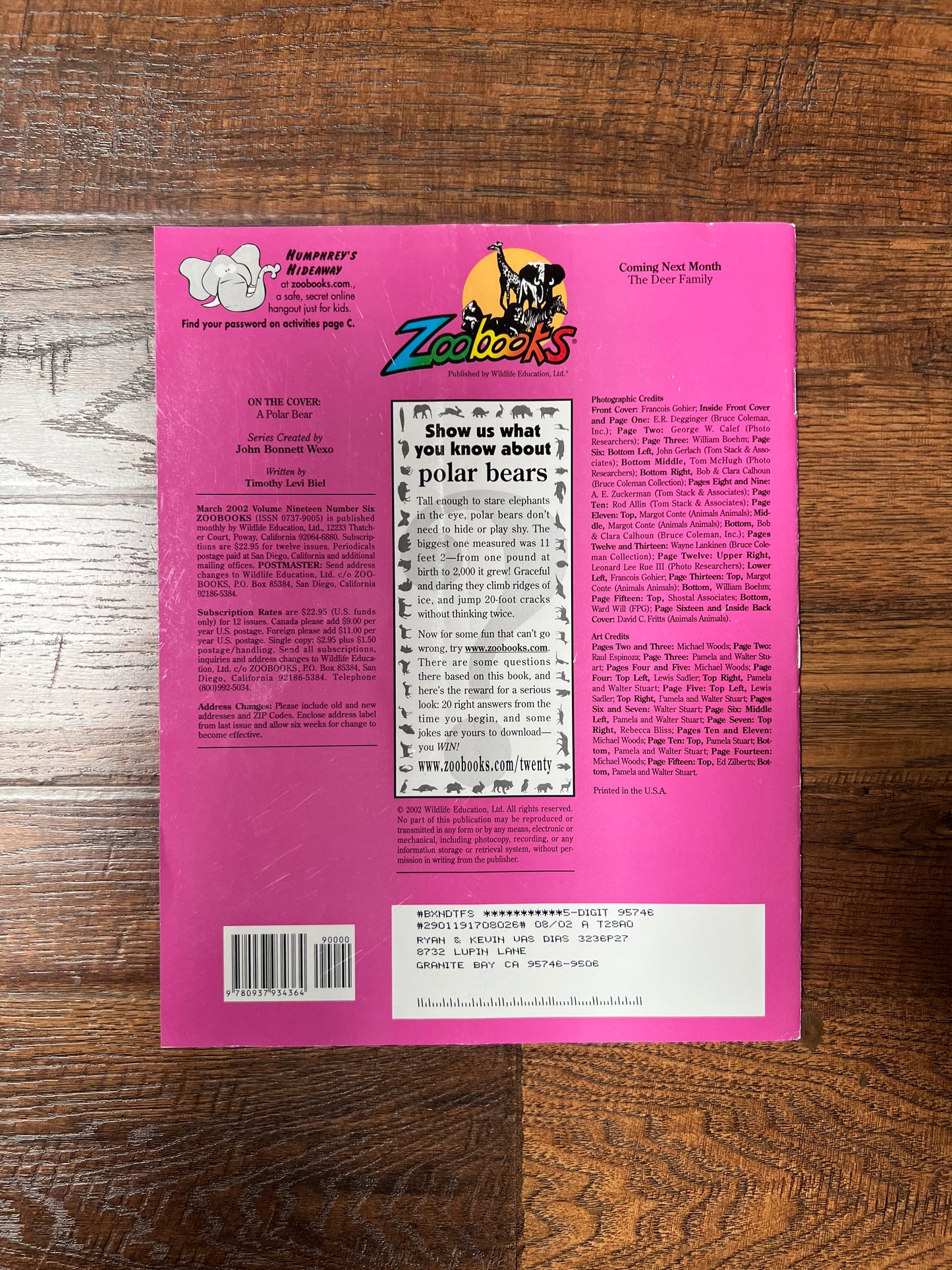 Vintage Ephemera - Magazine - Zoobooks - Polar Bears - March 2002