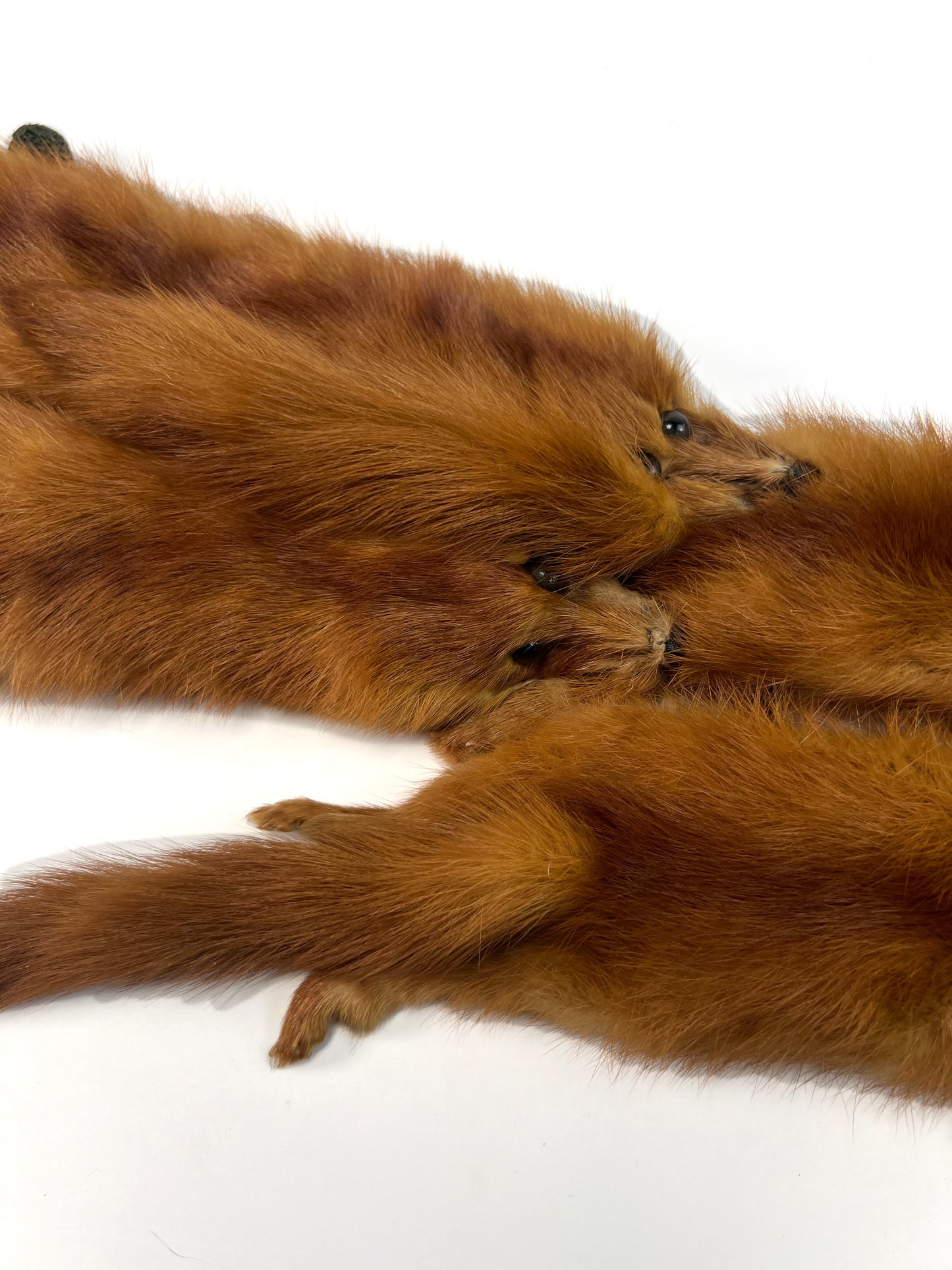 Vintage Accessories - Fur Shoulder Stole - 5 Red Foxes