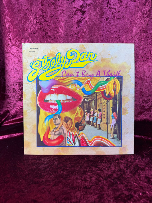 Vintage 12" Vinyl Double Record - Steely Dan - Can't Buy A Thrill - MCA Records - 1972