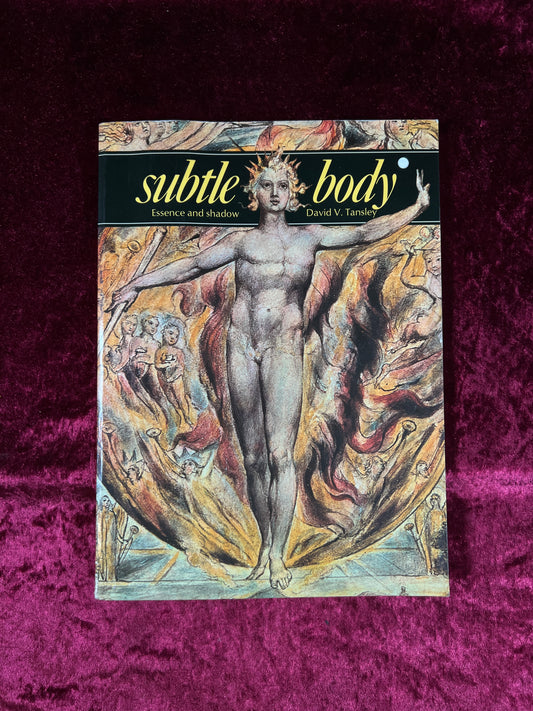 Vintage Paperback Book – The Subtle Body Essence and Shadow David V. Tansley 1977