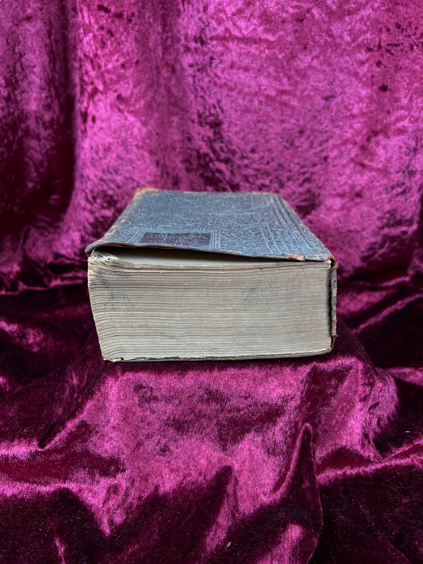 Vintage Leather Bound Dictionary Book - 1930 Popular Dictionary Reference