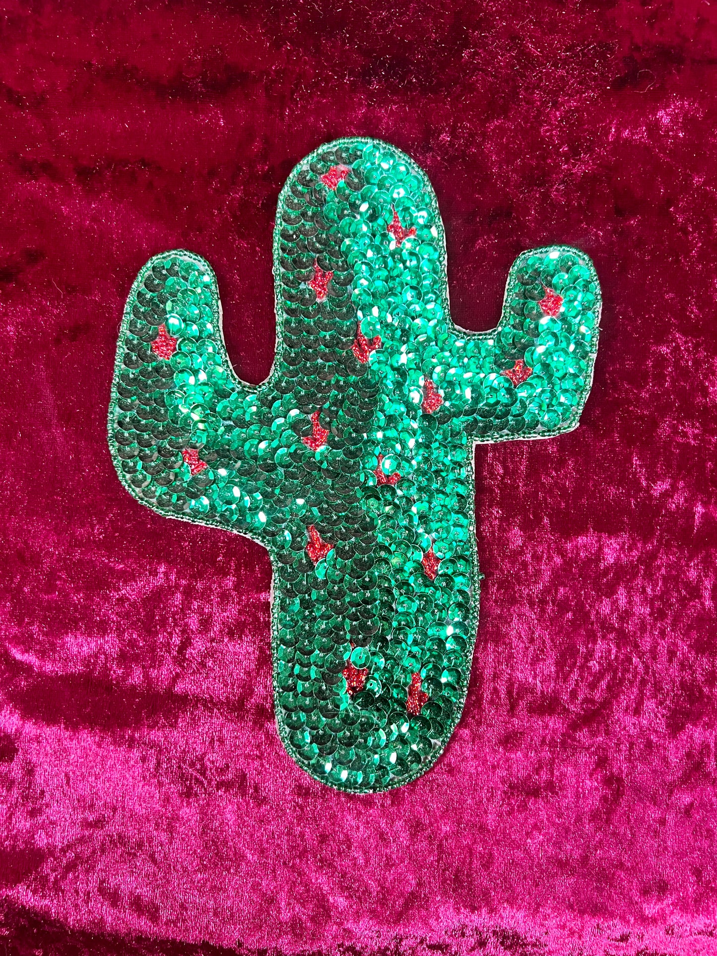 Vintage Sewing Notions - Sequin Appliqué Set - Saguaro Cactus with Red Accents