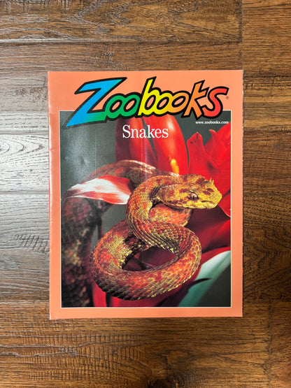 Vintage Ephemera - Magazine - Zoobooks - Snakes - November 2001