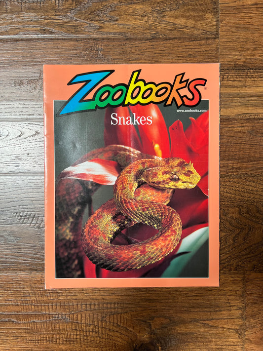 Vintage Ephemera - Magazine - Zoobooks - Snakes - November 2001