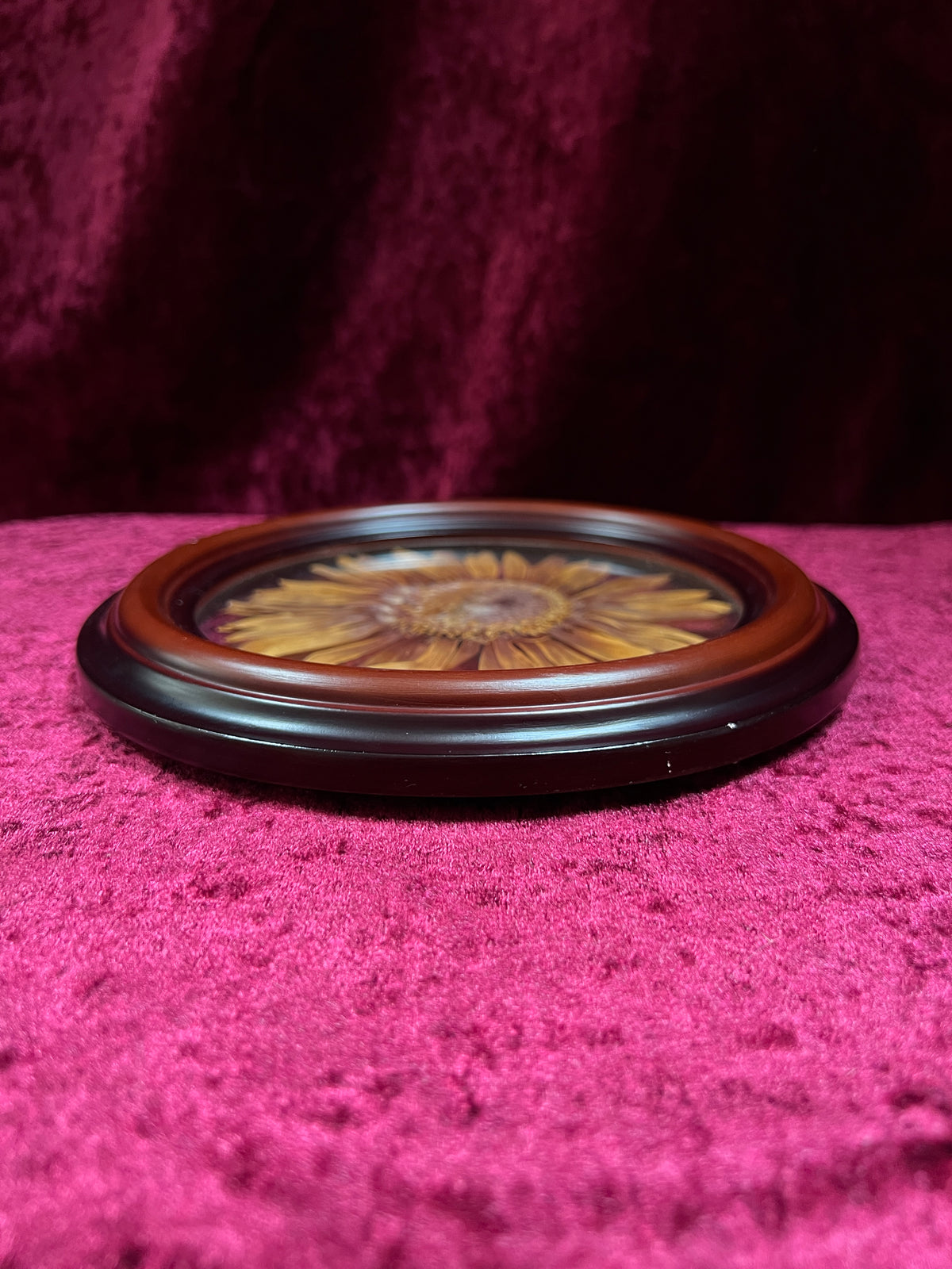 Vintage Pressed Sunflower Wall Art - Real Flower Round Wood Frame