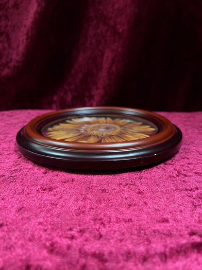 Vintage Pressed Sunflower Wall Art - Real Flower Round Wood Frame