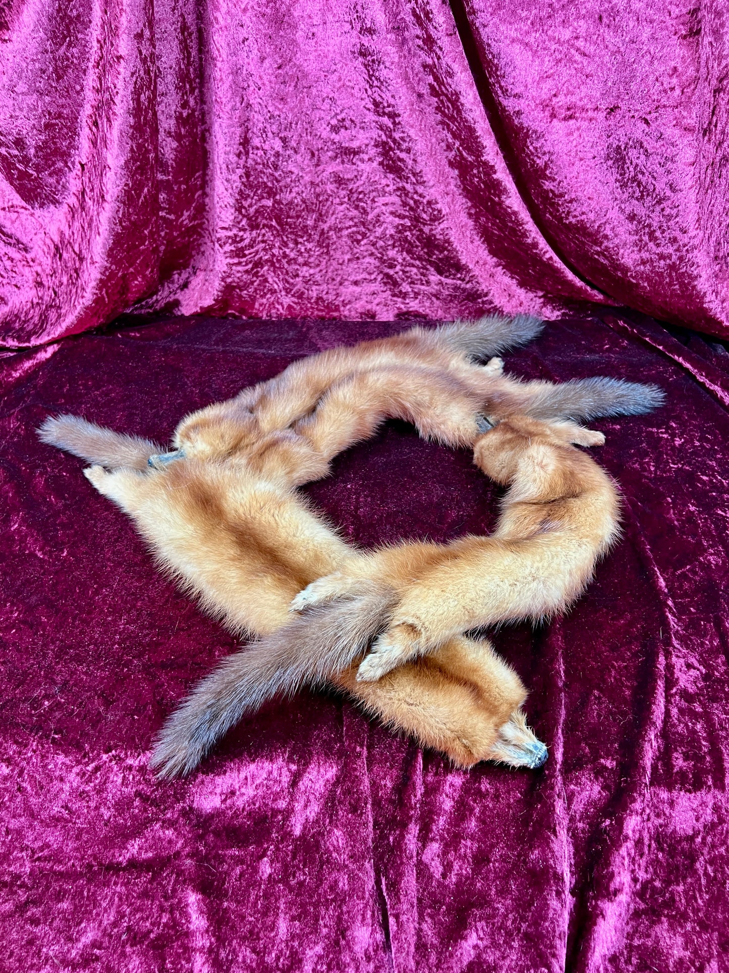 Vintage Fur Shoulder Wrap Stole – Four Red Foxes - 51"