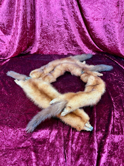 Vintage Fur Shoulder Wrap Stole – Four Red Foxes - 51"