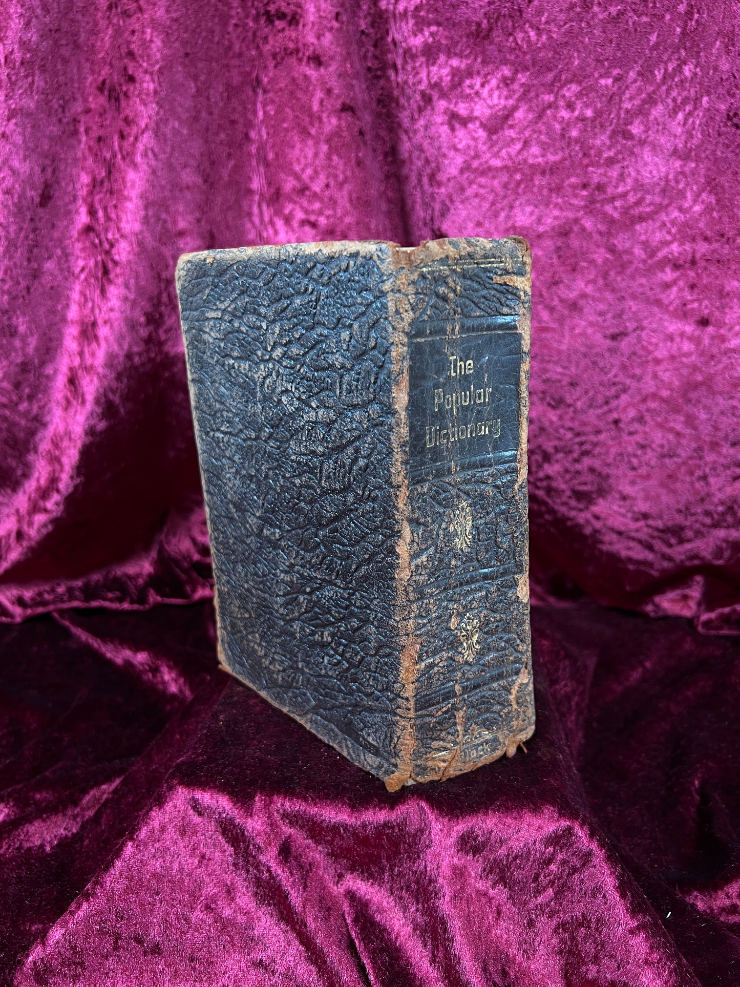 Vintage Leather Bound Dictionary Book - 1930 Popular Dictionary Reference