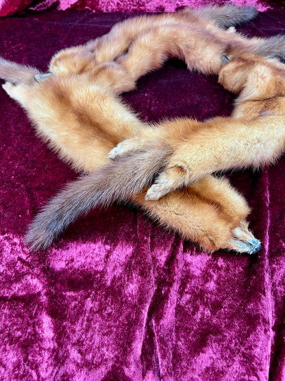 Vintage Fur Shoulder Wrap Stole – Four Red Foxes - 51"