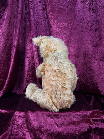 Antique Jointed Mohair Teddy Bear – Golden Yellow with Button Eyes - 17.5"