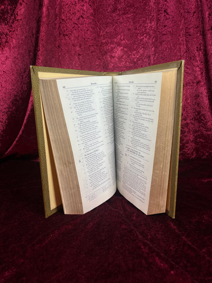 Vintage New American Holy Bible - 1974-1975 Catholic Illustrated Hardcover