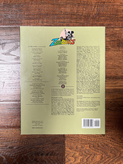 Vintage Ephemera - Magazine - Zoobooks - Insects - 1994