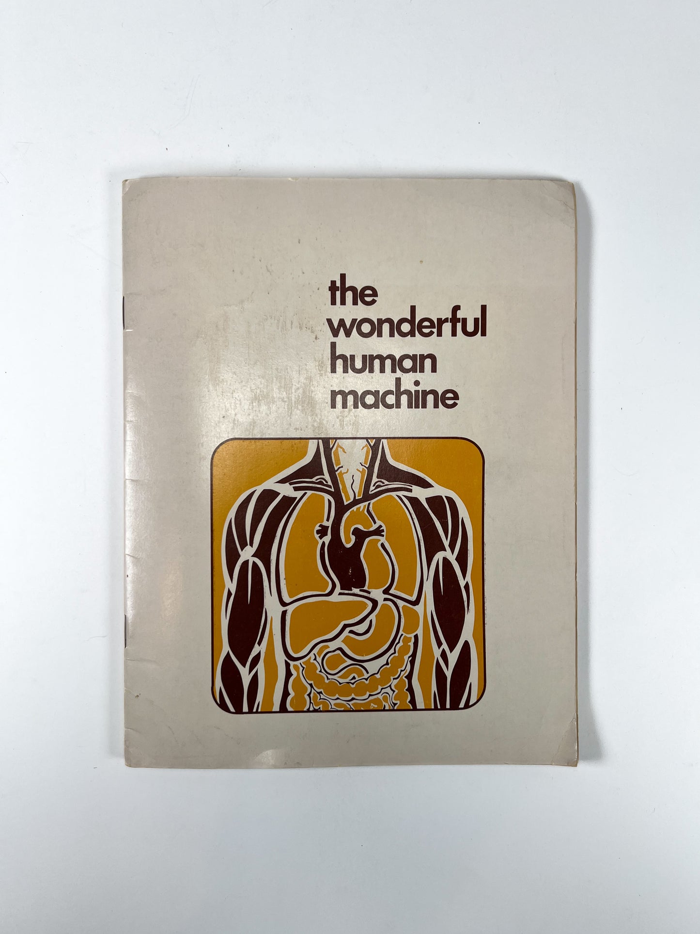 Vintage Ephemera - Medical Booklet - The Wonderful Human Machine - 1971 - American Medical Association