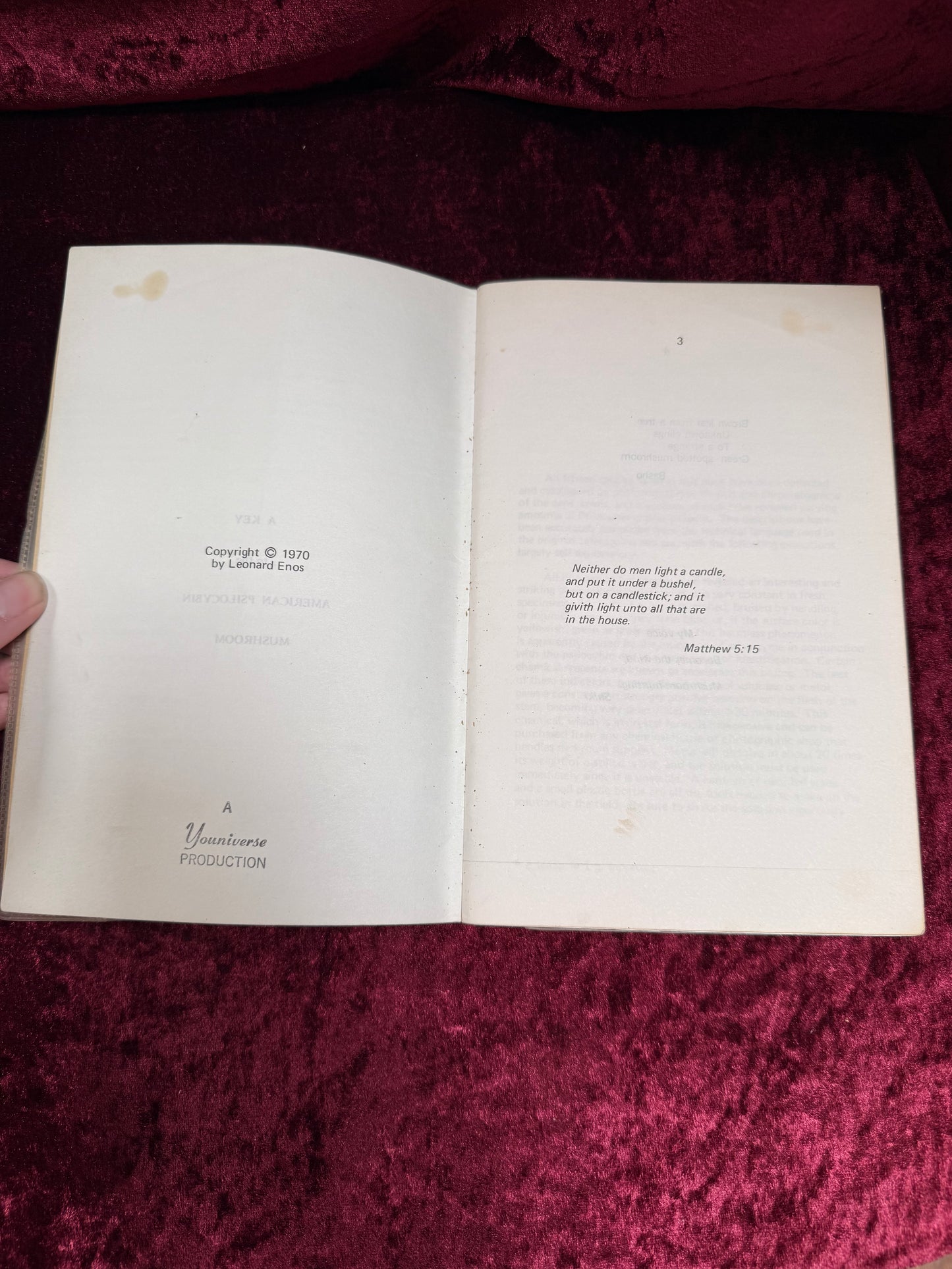Vintage Paperback Book - A Key To The American Psilocybin Mushroom - Leonard Enos - 1970