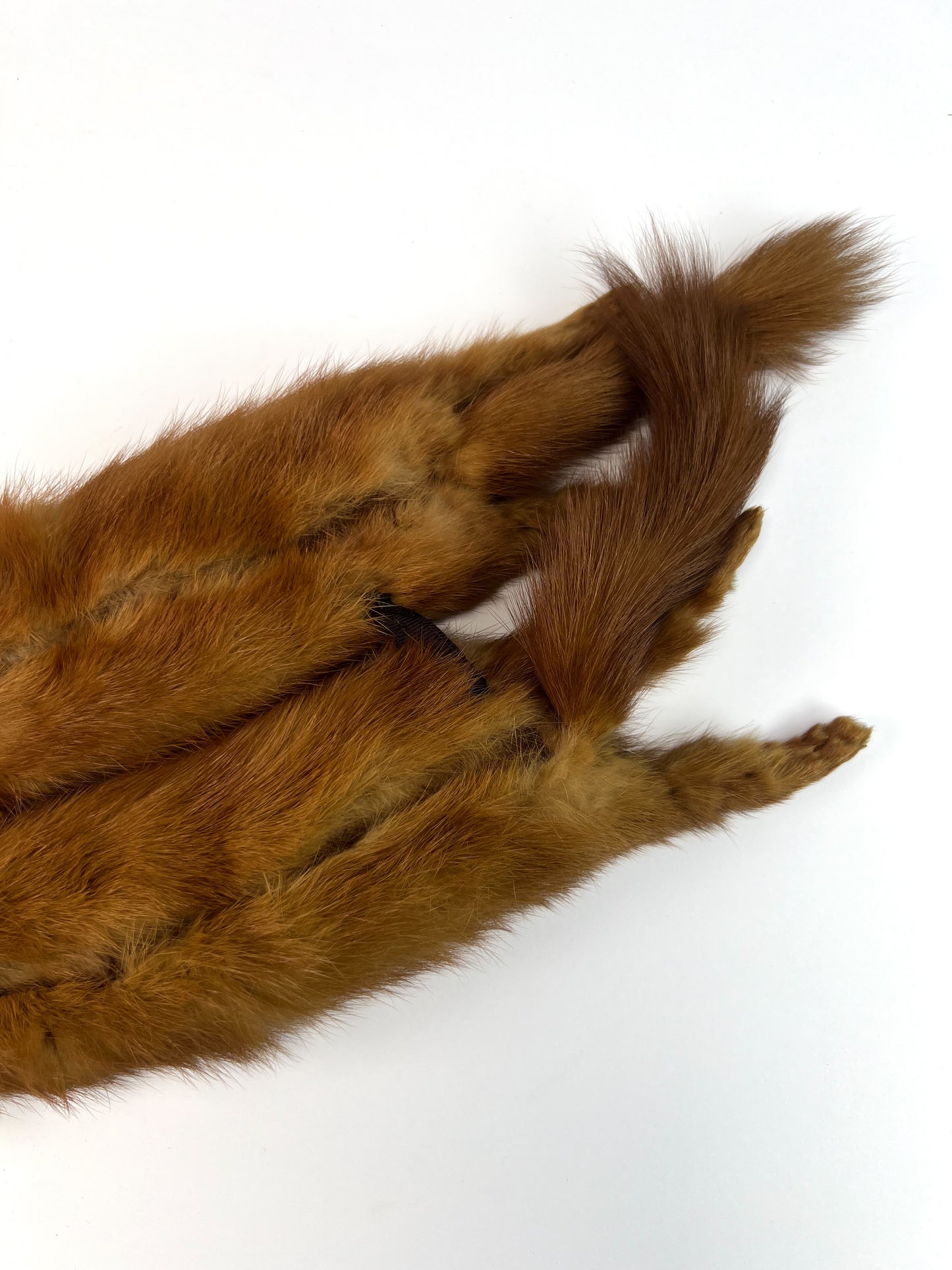 Vintage Accessories - Fur Shoulder Stole - 5 Red Foxes