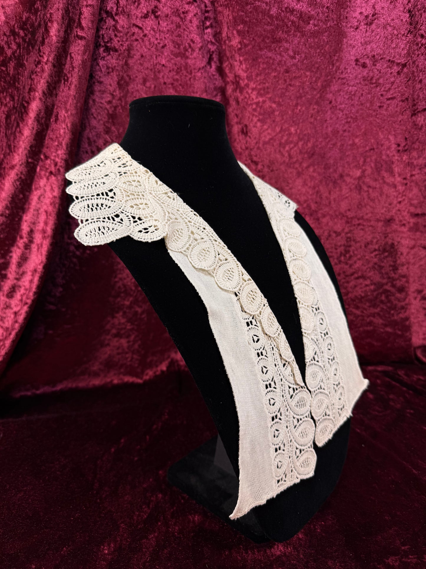 Vintage Lace Collar Overlay – Victorian Style Open Front Embroidered Panel