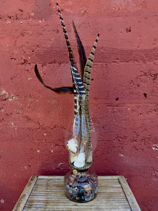 Vintage Glass Oil Lamp – Natural Feather and Shell Curio Display