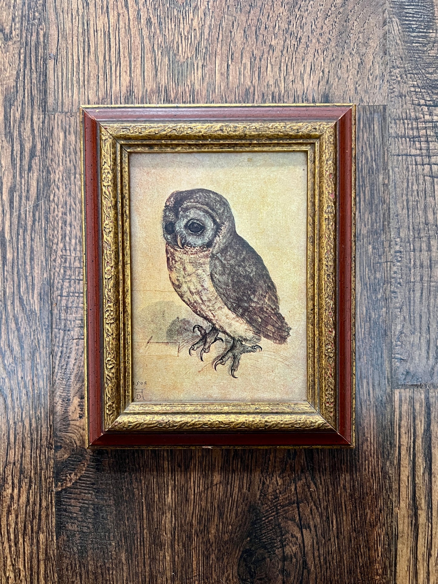 Vintage Framed Albrecht Dürer Owl Print - Ornate Red and Gold Wood Frame