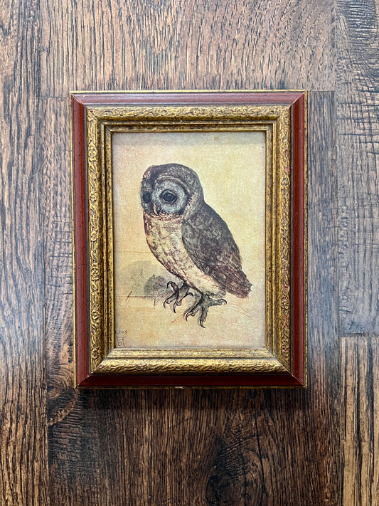 Vintage Framed Albrecht Dürer Owl Print - Ornate Red and Gold Wood Frame