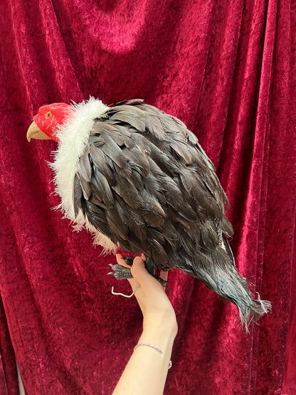 Vintage Repro Realistic Vulture Bird Prop