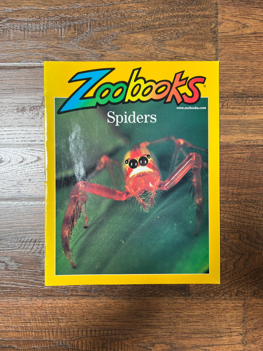 Vintage Ephemera - Magazine - Zoobooks - Spiders - June 2002
