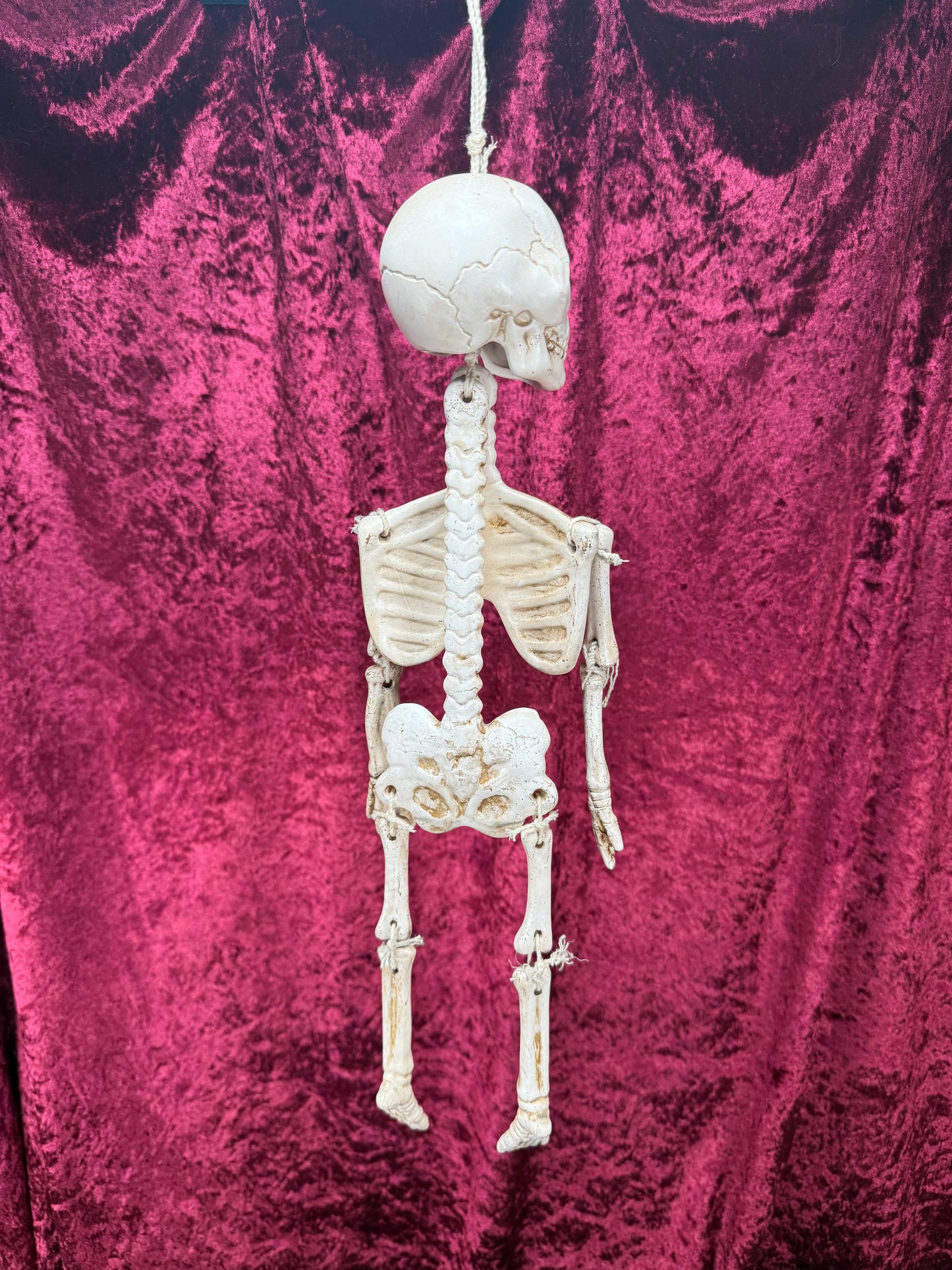 Vintage Halloween - Jointed Hanging Skeleton - Ceramic