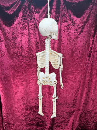 Vintage Halloween - Jointed Hanging Skeleton - Ceramic