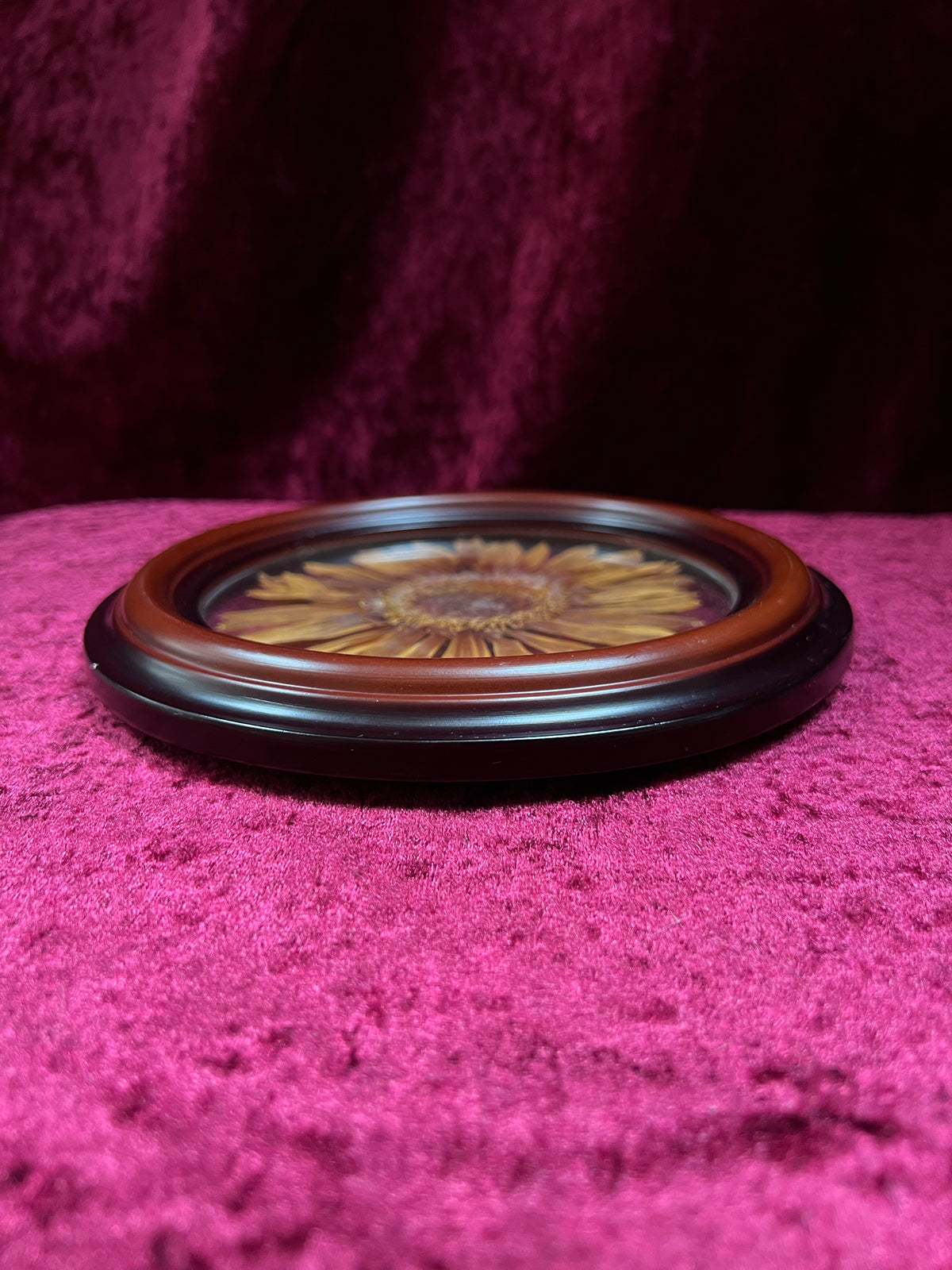 Vintage Pressed Sunflower Wall Art - Real Flower Round Wood Frame