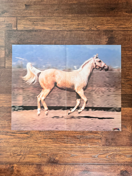 Vintage Dynamite Magazine Insert Poster - Galloping Horse