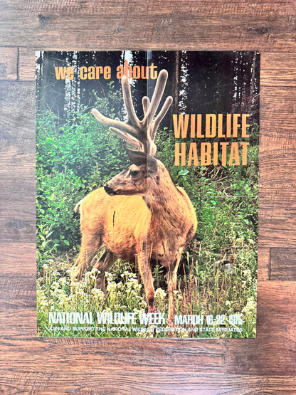 Vintage Magazine Insert Poster - National Wildlife Week 1975 - Deer